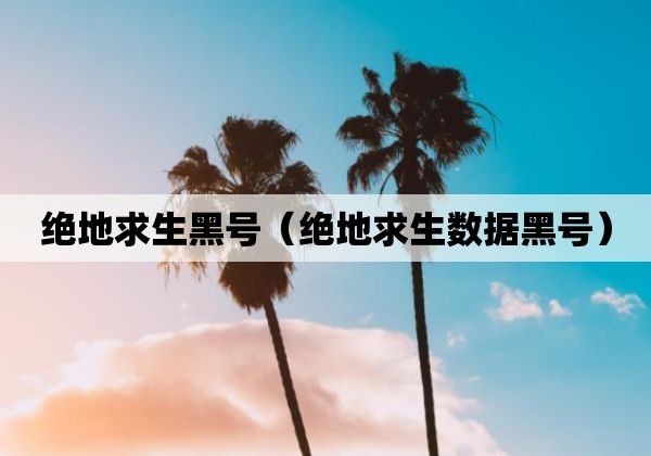 绝地求生数据黑和永久黑的区别及相关信息介绍