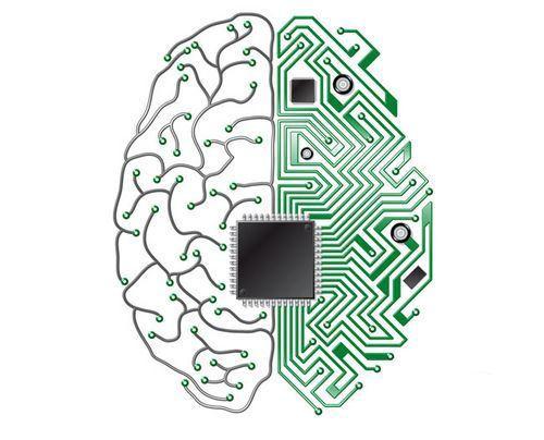 IBM将用88万CPU研制出与人脑速度相当的模拟大脑