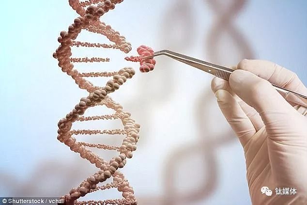 前NASA研究员欲帮助人类改造自身基因成新物种