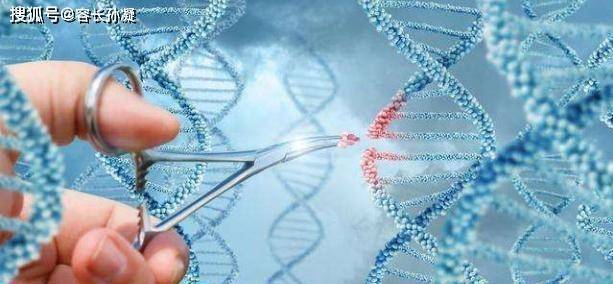 人为的编造基因是否会对人类造成影响呢？伦理道德与科技发展孰轻