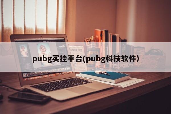 pubg买挂平台以及pubg科技软件对应的知识点一览
