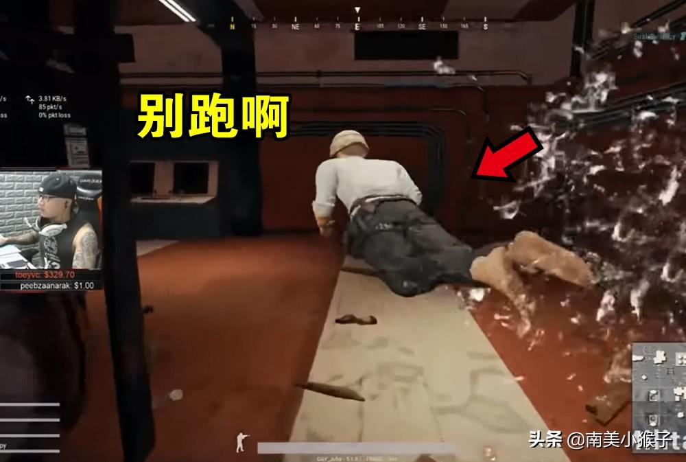 南美小猴子的吃鸡新鲜事直播这么久了什么挂没见过？